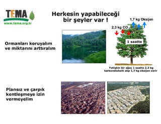 Herkesin yapabileceği
www.tema.org.tr
                        bir şeyler var !                1,7 kg Oksijen

                                          2,3 kg CO 2



                                                      1 saatte
Ormanları koruyalım
ve miktarını arttıralım



                                        Yetişkin bir ağaç 1 saatte 2,3 kg
                                     karbondioksiti alıp 1,7 kg oksijen verir.




 Plansız ve çarpık
 kentleşmeye izin
 vermeyelim
 