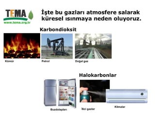 İşte bu gazları atmosfere salarak
                  küresel ısınmaya neden oluyoruz.
www.tema.org.tr

                  Karbondioksit




Kömür             Petrol                  Doğal gaz




                                            Halokarbonlar




                                                             Klimalar
                           Buzdolapları       İtici gazlar
 