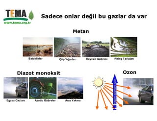 Sadece onlar değil bu gazlar da var
www.tema.org.tr


                                                 Metan




                 Bataklıklar           Çöp Yığınları    Hayvan Gübresi          Pirinç Tarlaları




        Diazot monoksit                                                                       Ozon




                                                                         Yaşam düşmanı ozon
 Egzoz Gazları       Azotlu Gübreler       Anız Yakma
 