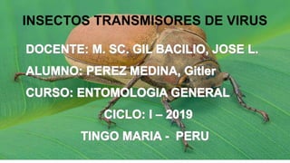 INSECTOS TRANSMISORES DE VIRUS
 