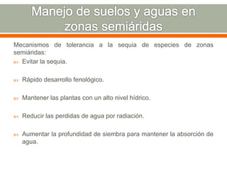 Mecanismos de tolerancia a la sequia de especies de zonas
semiáridas:
 Evitar la sequia.
 Rápido desarrollo fenológico.
 Mantener las plantas con un alto nivel hídrico.
 Reducir las perdidas de agua por radiación.
 Aumentar la profundidad de siembra para mantener la absorción de
agua.
 