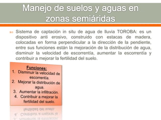  Sistema de captación in situ de agua de lluvia TOROBA: es un
dispositivo anti erosivo, construido con estacas de madera,
colocadas en forma perpendicular a la dirección de la pendiente,
entre sus funciones están la mejoración de la distribución de agua,
disminuir la velocidad de escorrentía, aumentar la escorrentía y
contribuir a mejorar la fertilidad del suelo.
 