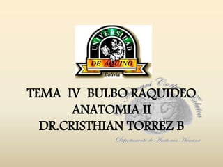 TEMA IV BULBO RAQUIDEO
ANATOMIA II
DR.CRISTHIAN TORREZ B
 