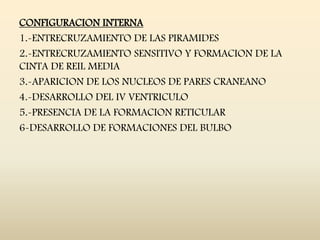 CONFIGURACION INTERNA
1.-ENTRECRUZAMIENTO DE LAS PIRAMIDES
2.-ENTRECRUZAMIENTO SENSITIVO Y FORMACION DE LA
CINTA DE REIL MEDIA
3.-APARICION DE LOS NUCLEOS DE PARES CRANEANO
4.-DESARROLLO DEL IV VENTRICULO
5.-PRESENCIA DE LA FORMACION RETICULAR
6-DESARROLLO DE FORMACIONES DEL BULBO
 