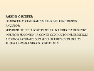 PAREDES O BORDES:
PEDUNCULOS CEREBRALES SUPERIORES E INFERIORES
ANGULOS:
SUPERIOR:ORIFICIO POSTERIOR DEL ACUEDUCTO DE SILVIO
INFERIOR: SE CONTINUA CON EL CONDUCTO DEL EPENDIMO
ANGULOS LATERALES SON SITIO DE UBICACIÓN DE LOS
TUBERCULOS ACUSTICOS POSTERIORES
 