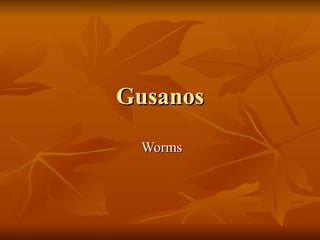 Gusanos Worms 