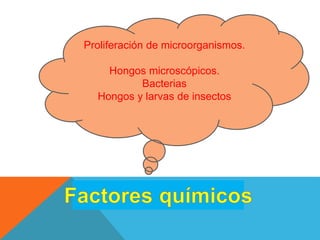 Proliferación de microorganismos.
Hongos microscópicos.
Bacterias
Hongos y larvas de insectos
 