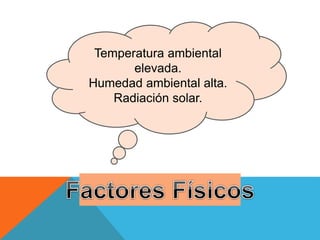 Temperatura ambiental
elevada.
Humedad ambiental alta.
Radiación solar.
 