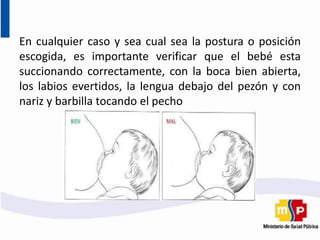 En cualquier caso y sea cual sea la postura o posición
escogida, es importante verificar que el bebé esta
succionando correctamente, con la boca bien abierta,
los labios evertidos, la lengua debajo del pezón y con
nariz y barbilla tocando el pecho
 