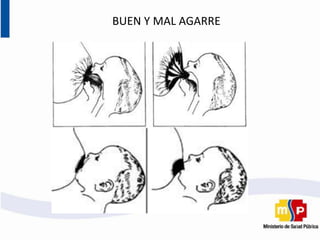 BUEN Y MAL AGARRE
 
