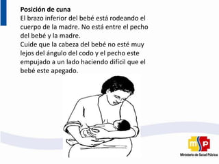 Posición de cuna
El brazo inferior del bebé está rodeando el
cuerpo de la madre. No está entre el pecho
del bebé y la madre.
Cuide que la cabeza del bebé no esté muy
lejos del ángulo del codo y el pecho este
empujado a un lado haciendo difícil que el
bebé este apegado.
 