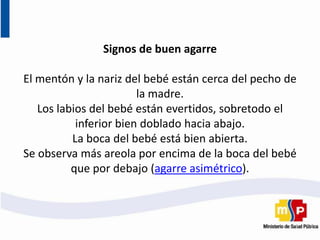 Signos de buen agarre
El mentón y la nariz del bebé están cerca del pecho de
la madre.
Los labios del bebé están evertidos, sobretodo el
inferior bien doblado hacia abajo.
La boca del bebé está bien abierta.
Se observa más areola por encima de la boca del bebé
que por debajo (agarre asimétrico).
 