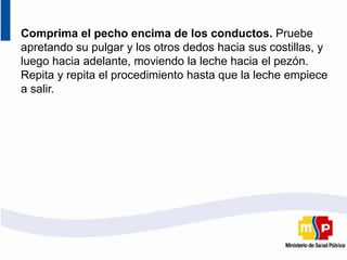 Comprima el pecho encima de los conductos. Pruebe
apretando su pulgar y los otros dedos hacia sus costillas, y
luego hacia adelante, moviendo la leche hacia el pezón.
Repita y repita el procedimiento hasta que la leche empiece
a salir.
 
