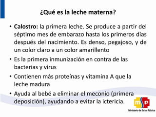 ¿Qué es la leche materna?
• Calostro: la primera leche. Se produce a partir del
séptimo mes de embarazo hasta los primeros días
después del nacimiento. Es denso, pegajoso, y de
un color claro a un color amarillento
• Es la primera inmunización en contra de las
bacterias y virus
• Contienen más proteínas y vitamina A que la
leche madura
• Ayuda al bebé a eliminar el meconio (primera
deposición), ayudando a evitar la ictericia.
 