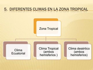 5. DIFERENTES CLIMAS EN LA ZONA TROPICAL



                Zona Tropical




                Clima Tropical   Clima desértico
     Clima
                   (ambos            (ambos
   Ecuatorial
                hemisferios )     hemisferios)
 