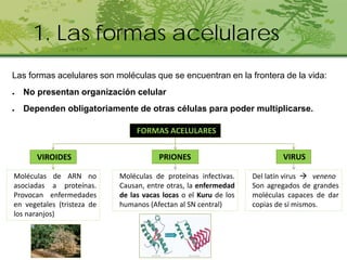 Tema las formas acelulares | PDF