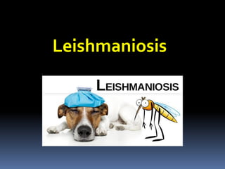 Leishmaniosis
 