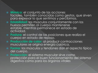    Mímica: el conjunto de las acciones
    faciales, también conocidas como gestos, que sirven
    para expresar lo que sentimos y percibimos.
   Estabilidad: los músculos conjuntamente con los
    huesos permiten al cuerpo mantenerse
    estable, mientras permanece en estado de
    actividad.
   Postura: el control de las posiciones que realiza el
    cuerpo en estado de reposo.
   Producción de calor: al producir contracciones
    musculares se origina energía calórica.
   Forma: los músculos y tendones dan el aspecto típico
    del cuerpo.
   Protección: el sistema muscular sirve como
    protección para el buen funcionamiento del sistema
    digestivo como para los órganos vitales
 
