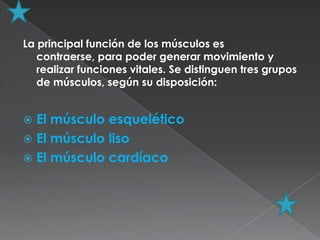 La principal función de los músculos es
   contraerse, para poder generar movimiento y
   realizar funciones vitales. Se distinguen tres grupos
   de músculos, según su disposición:


 El músculo esquelético
 El músculo liso
 El músculo cardíaco
 