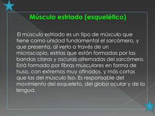 Músculo estriado (esquelético)

 El músculo estriado es un tipo de músculo que
tiene como unidad fundamental el sarcómero, y
que presenta, al verlo a través de un
microscopio, estrías que están formadas por las
bandas claras y oscuras alternadas del sarcómero.
Está formado por fibras musculares en forma de
huso, con extremos muy afinados, y más cortas
que las del músculo liso. Es responsable del
movimiento del esqueleto, del globo ocular y de la
lengua.
 