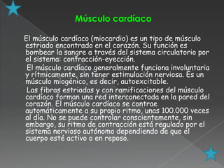 Músculo cardíaco

El músculo cardíaco (miocardio) es un tipo de músculo
estriado encontrado en el corazón. Su función es
bombear la sangre a través del sistema circulatorio por
el sistema: contracción-eyección.
 El músculo cardíaco generalmente funciona involuntaria
y rítmicamente, sin tener estimulación nerviosa. Es un
músculo miogénico, es decir, autoexcitable.
 Las fibras estriadas y con ramificaciones del músculo
cardíaco forman una red interconectada en la pared del
corazón. El músculo cardíaco se contrae
automáticamente a su propio ritmo, unas 100.000 veces
al día. No se puede controlar conscientemente, sin
embargo, su ritmo de contracción está regulado por el
sistema nervioso autónomo dependiendo de que el
cuerpo esté activo o en reposo.
 