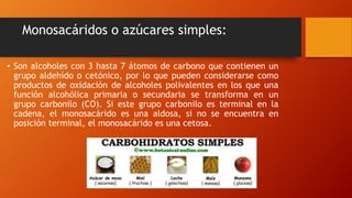 Monosacáridos o azúcares simples:
• Son alcoholes con 3 hasta 7 átomos de carbono que contienen un
grupo aldehído o cetónico, por lo que pueden considerarse como
productos de oxidación de alcoholes polivalentes en los que una
función alcohólica primaria o secundaria se transforma en un
grupo carbonilo (CO). Si este grupo carbonilo es terminal en la
cadena, el monosacárido es una aldosa, si no se encuentra en
posición terminal, el monosacárido es una cetosa.
 