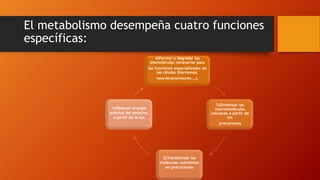 El metabolismo desempeña cuatro funciones
específicas:
4)Formar y degradar las
biomoléculas necesarias para
las funciones especializadas de
las células (hormonas,
neurotransmisores...).
3)Sintetizar las
macromoléculas
celulares a partir de
los
precursores
2)Transformar las
moléculas nutrientes
en precursores
1)Obtener energía
química del entorno,
a partir de la luz
 