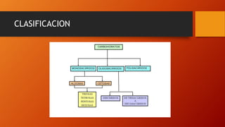 CLASIFICACION
 