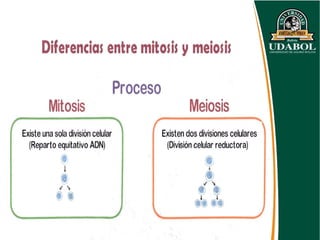 Comprehensive Overview of Cell Structure, Function, and Division ...