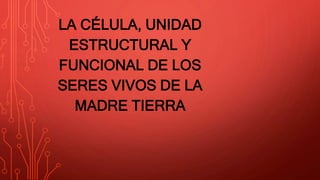 LA CÉLULA, UNIDAD
ESTRUCTURAL Y
FUNCIONAL DE LOS
SERES VIVOS DE LA
MADRE TIERRA
 