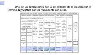 Bafflestone Rocks Tema Nº 2.Propiedades de las partículas sedimentarias.pptx