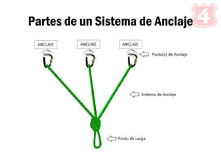 Partes de un Sistema de Anclaje
 