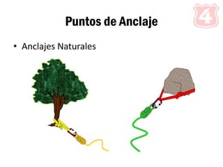 Puntos de Anclaje
• Anclajes Naturales
 