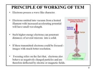 Transmission and Scanning Electron Microscopy | PDF