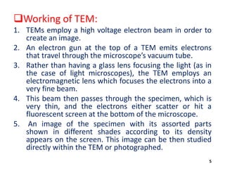 Transmission and Scanning Electron Microscopy | PDF