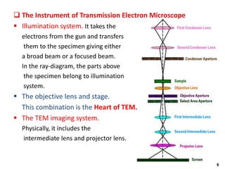 Transmission and Scanning Electron Microscopy | PDF