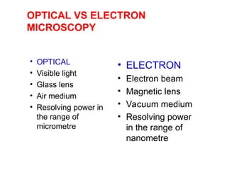 Transmission Electron Microscope and Scanning Electron Microscope | PPT