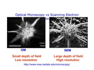 Transmission Electron Microscope and Scanning Electron Microscope | PPT