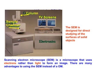 Transmission Electron Microscope and Scanning Electron Microscope | PPT