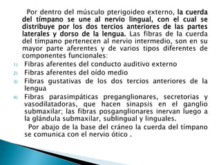 Por dentro del músculo pterigoideo externo, la cuerda
     del tímpano se une al nervio lingual, con el cual se
     distribuye por los dos tercios anteriores de las partes
     laterales y dorso de la lengua. Las fibras de la cuerda
     del tímpano pertenecen al nervio intermedio, son en su
     mayor parte aferentes y de varios tipos diferentes de
     componentes funcionales:
1)    Fibras aferentes del conducto auditivo externo
2)    Fibras aferentes del oído medio
3)    Fibras gustativas de los dos tercios anteriores de la
      lengua
4)    Fibras parasimpáticas preganglionares, secretorias y
      vasodilatadoras, que hacen sinapsis en el ganglio
      submaxilar; las fibras posganglionares inervan luego a
      la glándula submaxilar, sublingual y linguales.
        Por abajo de la base del cráneo la cuerda del tímpano
      se comunica con el nervio ótico .
 