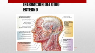 INERVACIÓN DEL OÍDO
EXTERNO
 