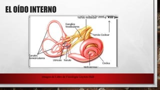 Imagen de Libro de Fisiología Guyton-Hall
EL OÍDO INTERNO
 