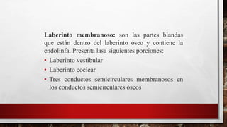 Laberinto membranoso: son las partes blandas
que están dentro del laberinto óseo y contiene la
endolinfa. Presenta lasa siguientes porciones:
• Laberinto vestibular
• Laberinto coclear
• Tres conductos semicirculares membranosos en
los conductos semicirculares óseos
 