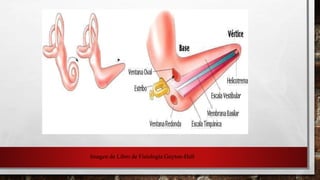 Imagen de Libro de Fisiología Guyton-Hall
 