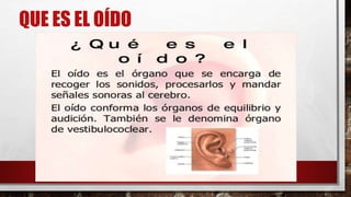 QUE ES EL OÍDO
 