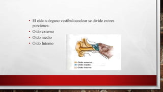 • El oído u órgano vestibulococlear se divide en tres
porciones:
• Oído externo
• Oído medio
• Oído Interno
 