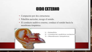 OIDO EXTERNO
• Compuesto por dos estructuras:
• Pabellón auricular, recoge el sonido.
• El conducto auditivo externo, conduce el sonido hacia la
membrana timpánica.
 