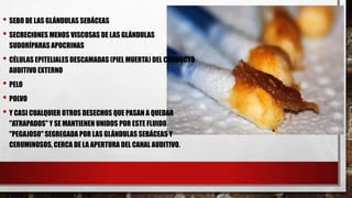 • SEBO DE LAS GLÁNDULAS SEBÁCEAS
• SECRECIONES MENOS VISCOSAS DE LAS GLÁNDULAS
SUDORÍPARAS APOCRINAS
• CÉLULAS EPITELIALES DESCAMADAS (PIEL MUERTA) DEL CONDUCTO
AUDITIVO EXTERNO
• PELO
• POLVO
• Y CASI CUALQUIER OTROS DESECHOS QUE PASAN A QUEDAR
"ATRAPADOS" Y SE MANTIENEN UNIDOS POR ESTE FLUIDO
"PEGAJOSO" SEGREGADA POR LAS GLÁNDULAS SEBÁCEAS Y
CERUMINOSOS, CERCA DE LA APERTURA DEL CANAL AUDITIVO.
 