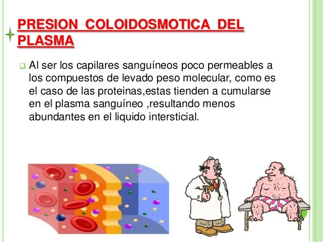 Resultado de imagen para presion coloidosmotica del liquido intersticial
