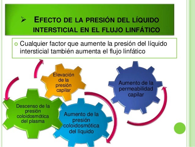Resultado de imagen para Efecto de la presión del lÃquido intersticial en el flujo linfático.
